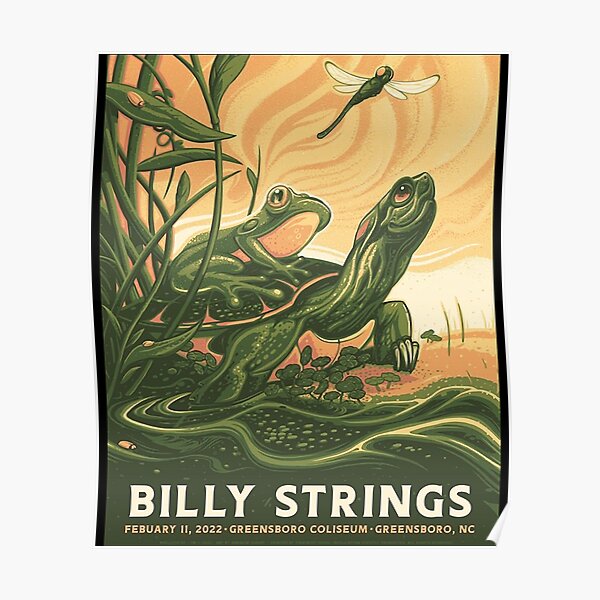 This Article Amazing Billy Strings Amazing Tricks To Get Poster RB1201 product Offical billy strings Merch